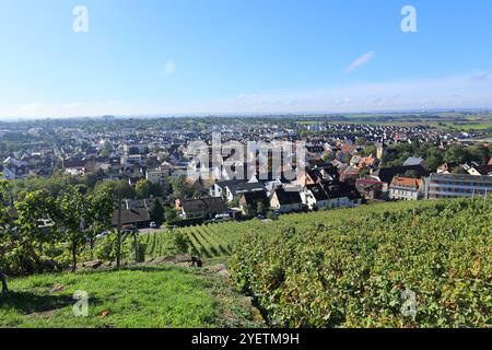 Blick über die Weinberge bis zur Stadt Asperg im Strohgäu Stockfoto