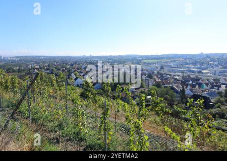 Blick über die Weinberge bis zur Stadt Asperg im Strohgäu Stockfoto