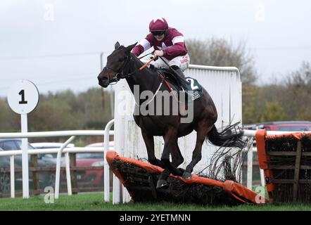 Brighterdaysahead wurde von Sam Ewing auf dem Weg zum Sieg der Bottlegreen-Hürde am ersten Tag des Ladbroke Festival of Racing auf der Down Royal Racecourse, Lisburn, gefahren. Bilddatum: Freitag, 1. November 2024. Stockfoto