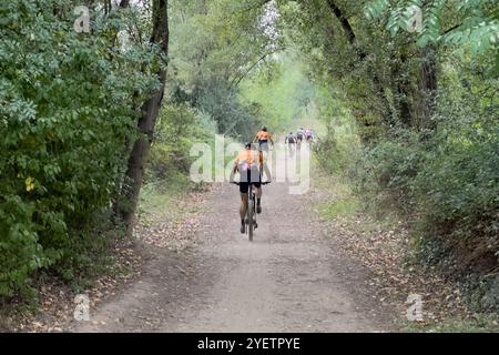 Gruppensportler mit Rückansicht auf dem Mountainbike auf dem Trail im Wald Stockfoto