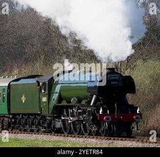 Die berühmte Dampflokomotive Flying Scotsman fährt auf der Swanage Railway in Dorset Stockfoto