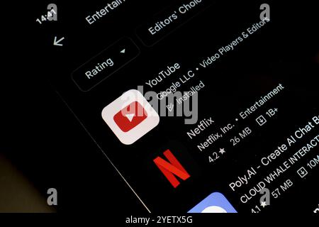 November 2024, Brasilien. In dieser Abbildung wird das YouTube- und Netflix-App-Logo auf einem Smartphone-Bildschirm angezeigt Stockfoto