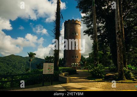 Okahu Turm im El Yunque Wald Puerto Rico - 2. Mai 2024. Hochwertige Fotos Stockfoto