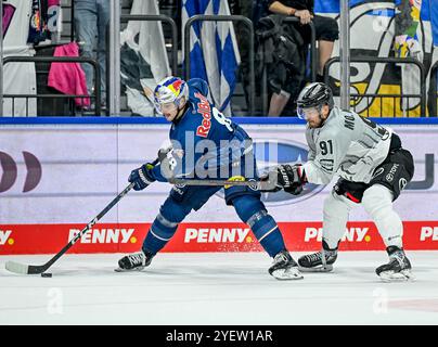 Kampf um den Puck / Zweikampf zwischen Tobias Rieder (EHC Red Bull Muenchen, #8) und Moritz Müller (Koelner Haie, #91). GER, EHC Red Bull Muenchen vs. Koelner Haie, Eishockey, DEL, 14. Spieltag, Saison 2024/2025, 01.11.2024. Foto: Eibner-Pressefoto/Heike Feiner Stockfoto