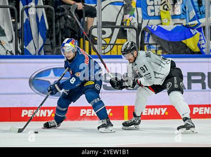 Kampf um den Puck / Zweikampf zwischen Tobias Rieder (EHC Red Bull Muenchen, #8) und Moritz Müller (Koelner Haie, #91). GER, EHC Red Bull Muenchen vs. Koelner Haie, Eishockey, DEL, 14. Spieltag, Saison 2024/2025, 01.11.2024. Foto: Eibner-Pressefoto/Heike Feiner Stockfoto