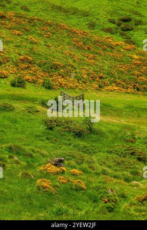 Bilder von Col de Pailheres. Dieser Berg liegt im Département Ariège in den französischen Pyrenäen. Dieser Pass gipfelt in einer Höhe von 2.001 Metern. Stockfoto