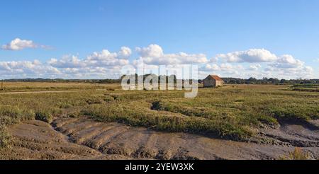 Thornham Salzwiesen Pfosten und Anlegestellen an der Nordküste von Norfolk Stockfoto