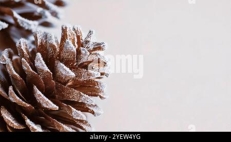 Nahaufnahme des mattierten Tannenzapfens auf einem immergrünen, schneebedeckten Fichtenzweig im Winterwald mit Schnee, Weihnachtsfeiertag festlicher Winter-Natur-Hintergrund Stockfoto