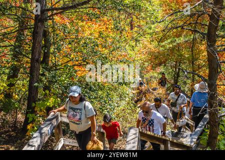 Menschen, die die Treppen des Hurricane Falls Loop Trail im Tallulah Gorge State Park in Tallulah Falls, Georgia, auf- und absteigen. (USA) Stockfoto