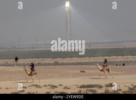 Israelische Beduinen, die am 1. November 2024 in der Wüste Negev bei Ashalim ihre Kamele durchfahren, als die beiden Führer den Solarturm passieren und sich der Ziellinie nähern. Die beiden Kamelrennen, eine für ältere Kamele, die 12 km lang waren, und die andere für jüngere Kamele, die 6 km lang waren, werden als erste offizielle Beduinenkamelrennen bezeichnet. Tausende von Zuschauern sahen das Spektakel bei einem ersten Preis von 12.000 Shekel (3.200 US-Dollar) für das 12-Kilometer-Rennen. Der Solarturm ist das Ashalim-Kraftwerk, eine Konzentration von drei Abschnitten, die drei Arten von Energie kombinieren: Solarthermie, Photov Stockfoto