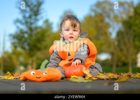 Ein Kleinkind in einem orangen Kürbiskostüm sitzt auf einer hölzernen Plattform, umgeben von Herbstblättern und kleinen Kürbissen. Stockfoto