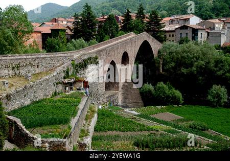 Alte Steinbrücke in Sant Joan De Les Abadesses in Katalonien Spanien Stockfoto