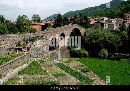 Alte Steinbrücke in Sant Joan De Les Abadesses in Katalonien Spanien Stockfoto