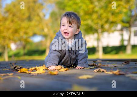 Ein fröhliches Kleinkind in einer grauen Jacke krabbelt auf einem Holzweg, der mit Blättern übersät ist und zum Lachen ausbricht. Stockfoto