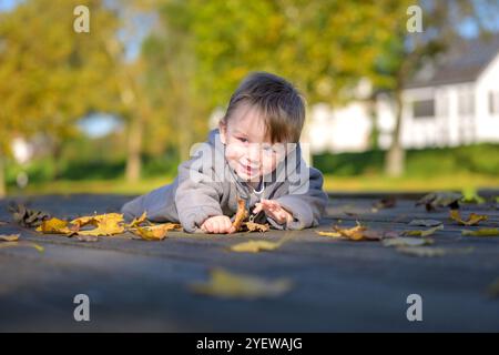 Ein fröhliches Kleinkind in einer grauen Jacke liegt auf einem Holzweg mit Herbstlaub und streut sich mit einem Lächeln der reinen Freude aus. Stockfoto