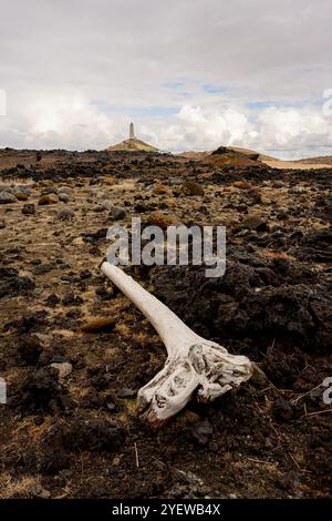 Leuchtturm von Reykjanes auf dem Hügel auf der Halbinsel Reykjanes, Island, Europa. Stockfoto