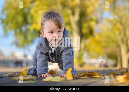 Ein fröhliches Kleinkind in einer gemütlichen grauen Jacke krabbelt auf einem mit Blättern übersäten Holzweg und zeigt Aufregung und Neugier auf seine Umgebung. Stockfoto