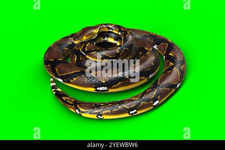 3D-Illustration Eines goldenen Netzpythons, Boa Constrictor, die größte Schlange der Welt, isoliert auf grünem Hintergrund. Stockfoto