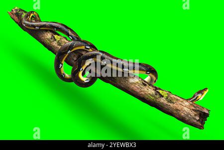 3D-Illustration Eines goldenen Netzpythons, Boa Constrictor, die größte Schlange der Welt, isoliert auf grünem Hintergrund. Stockfoto