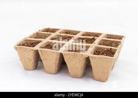 Biologisch abbaubare Saatgutablage Papiermasse Torftopf mit Boden für Gartenpflanzen Stockfoto