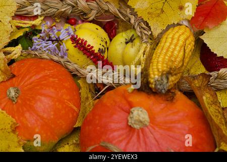 Herbstliches Gemüse, Kürbis, Mais, Quitten, Kerzen. Dekoratives Arrangement. Stockfoto