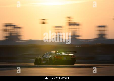 Sakhir, Bahrain. November 2024. TF Sport No.81 – Corvette Z06 LMGT3.R, Tom Van Rompuy (BEL), Rui Andrade (AGO), Charlie Eastwood (IRL) während der Qualifikation. Ahmad Al Shehab/Alamy Live News. Stockfoto