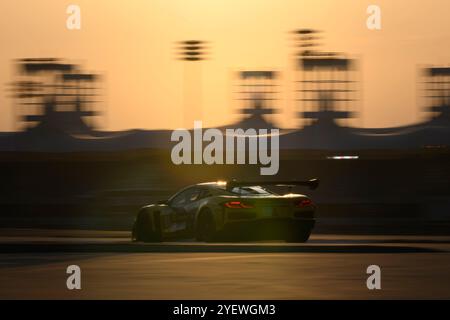 Sakhir, Bahrain. November 2024. TF Sport No.81 – Corvette Z06 LMGT3.R, Tom Van Rompuy (BEL), Rui Andrade (AGO), Charlie Eastwood (IRL) während der Qualifikation. Ahmad Al Shehab/Alamy Live News. Stockfoto