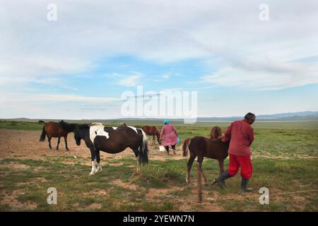 Das Tägliche Leben. Melken. Mongolische Nomaden. Mongolei Stockfoto