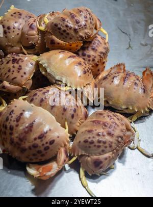 Auswahl an frischen Meeresfrüchten, täglichen Fängen von Cangrejo-roten Krebsen auf dem Fischmarkt in Jerez de la Frontera, Andalusien, Spanien Stockfoto