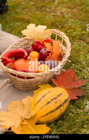 Ein gewebter Korb voller leuchtender roter Paprika, Kürbisse und verschiedenen Früchten liegt auf dem Gras, geschmückt mit hellen Herbstblättern in einer friedlichen Umgebung Stockfoto