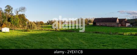 Panoramablick über Grasland und Stände auf dem Land im Dorf Sint Anna Pede, Flandern, Belgien Stockfoto