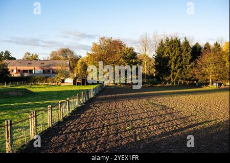 Bebauter Hinterhof mit gepflügtem Boden und einer Wiese in Sint Anna Pede, Flämisch-Brabant, Belgien Stockfoto