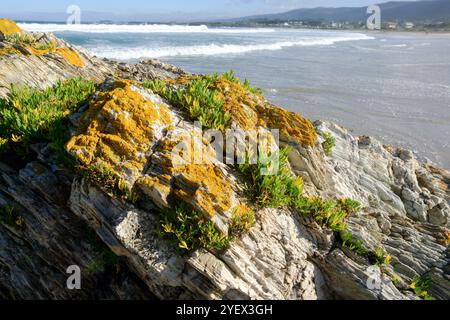 Ein Küstenspaziergang in der Stadt Foz an der Nordküste Galiciens Stockfoto