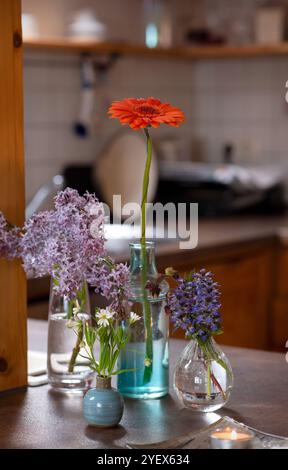 Eine wunderschön gestaltete Frühlingsblume mit Gerbera Gänseblümchen, Syringa vulgaris (Flieder), Rabelera Holostea (geringes Stitchwort) und Ajuga Rep Stockfoto