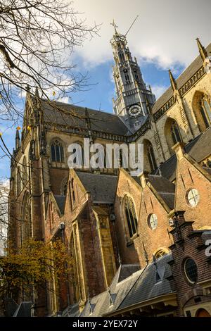 Die St. Bavo Kirche (Grote Kerk) Haarlem, Niederlande Stockfoto