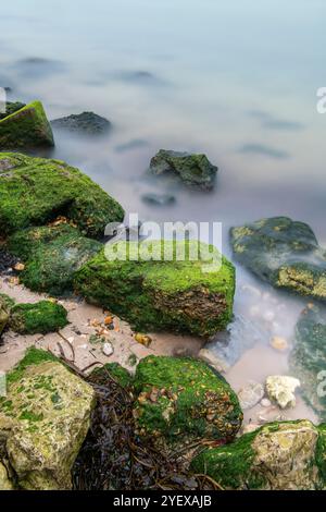 Algen bedeckten Felsen mit Wasser, das um die Kanten gewaschen wurde, wodurch ein nebeliges oder ätherisches Bild entsteht. Stockfoto