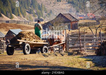 Mann, der Naturmist aus Mist in einem Pferdewagen trägt Stockfoto