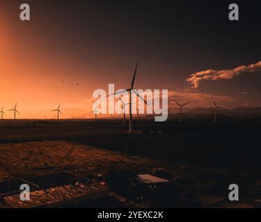 Malerischer Blick auf Eine Windfarm in Puerto Rico bei Sonnenuntergang mit mehreren Windturbinen, die sich vor einem orangefarbenen Himmel befinden. Stockfoto
