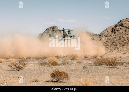 Ein U.S. Marine Corps MV-22B Osprey hat die Marine Aviation Weapons and Tactics Squadron One zugewiesen, landet während der letzten Übung als Teil des Weapons and Tactics Instructor Courses 1-25 auf der Luke Air Force Base, Arizona, 26. Oktober 2024. Die WTI ist eine siebenwöchige Schulungsveranstaltung, die von MAWTS-1 veranstaltet wird und deren Schwerpunkt auf der operativen Integration der sechs Funktionen der Meeresluftfahrt zur Unterstützung der Marine Air Ground Task Force, Joint and Coalition Forces liegt. (Foto des U.S. Marine Corps von Lance CPL. Micah Thompson) Stockfoto