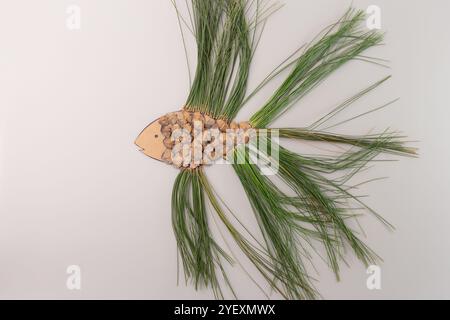 Fischform aus Tannenzapfen und Tannennadeln, grauer Hintergrund. Flache Naturkunst für Poster, Grußkarte, Postkarte. Kreatives Outdoor-Lernen, t Stockfoto