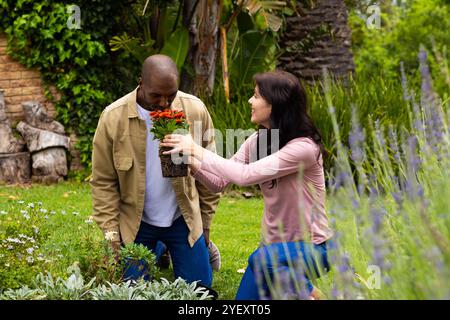 Multirassische Paare, die gemeinsam im Garten arbeiten und frische Blumen im üppig grünen Garten genießen Stockfoto