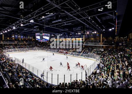 South Bend, Indiana, USA. November 2024. Ein Gesamtbild während des NCAA-Hockeyspiels zwischen den Wisconsin Badgers und den Notre Dame Fighting Irish in der Compton Family Ice Arena in South Bend, Indiana. John Mersits/CSM/Alamy Live News Stockfoto