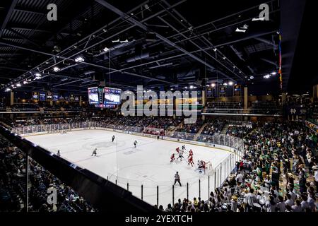 South Bend, Indiana, USA. November 2024. Ein Gesamtbild während des NCAA-Hockeyspiels zwischen den Wisconsin Badgers und den Notre Dame Fighting Irish in der Compton Family Ice Arena in South Bend, Indiana. John Mersits/CSM/Alamy Live News Stockfoto