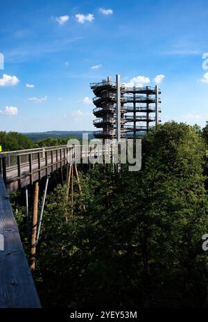 Mettlach, Deutschland - 27. Juni 2021: Holzbaumwanderung an der Saarschleife an einem sonnigen Frühlingnachmittag in Deutschland. Stockfoto