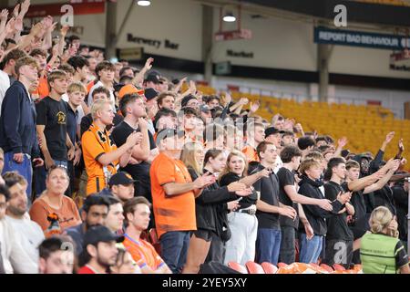 Brisbane, Australien. November 2024. Brisbane, Australien, 1. November 2024: Fans von Brisbane werden während des Isuzu Ute A League-Spiels zwischen Brisbane Roar und Sydney FC im Suncorp Stadium in Brisbane, Australien gesehen Matthew Starling (Promediapix/SPP) Credit: SPP Sport Press Photo. /Alamy Live News Stockfoto