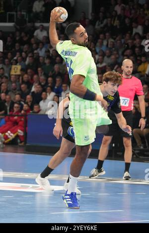 Nantes, Frankreich. 31. Oktober 2024. Melvyn Richardson vom FC Barcelona während des Handballspiels der EHF Champions League, Gruppenphase zwischen HBC Nantes und FC Barcelona am 31. Oktober 2024 in der H Arena in Nantes, Frankreich - Foto Laurent Lairys/DPPI Credit: DPPI Media/Alamy Live News Stockfoto