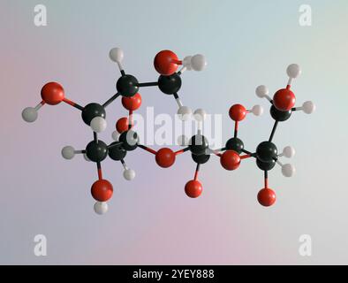 Computerdarstellung eines Kugel- und Stabmodells eines Saccharosemoleküls. Atome werden als Kugeln dargestellt und sind farbcodiert: Wasserstoff (weiß), Kohlenstoff (schwarz) und Sauerstoff (rot). Stockfoto