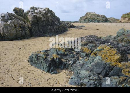 Basaltische Lava aus Kissen Unterwasser vulkanische Aktivität zwischen 500 und 600 Millionen Jahren gebildet. Bei Filey Sands, Anglesey, Wales, UK fotografiert. Stockfoto