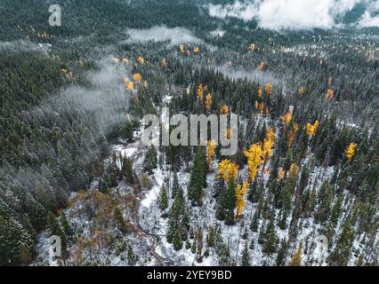 Aus der Vogelperspektive des Mount Hood National Forest im Zentrum von Oregon, USA Stockfoto