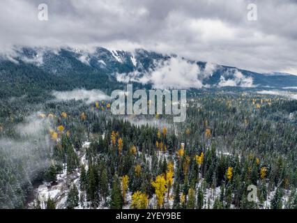 Aus der Vogelperspektive des Mount Hood National Forest im Zentrum von Oregon, USA Stockfoto